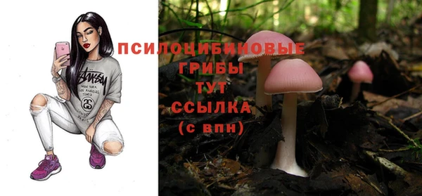 молекула духа Вязьма