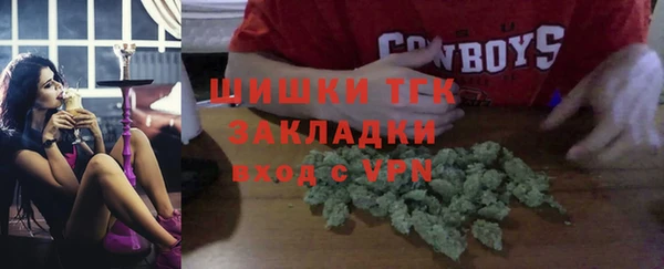 молекула духа Вязьма