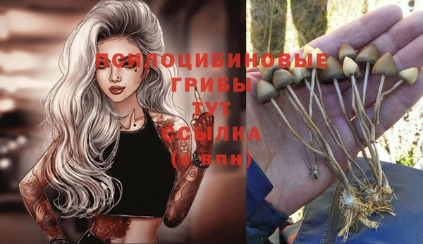 гашиш Вяземский