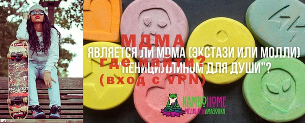 молекула духа Вязьма