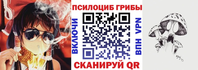 Псилоцибиновые грибы Psilocybe  Купить закладки  Кирово-Чепецк 